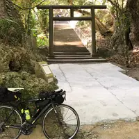 シルミチューの写真・動画_image_1032373