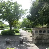 岸和田市中央公園スポーツ広場の写真・動画_image_1033324