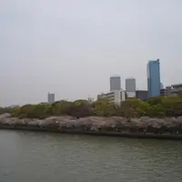南天満公園の写真・動画_image_1034663