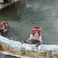 函館市熱帯植物園の写真・動画_image_1034912