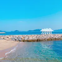 歩く方舟の写真・動画_image_1036431