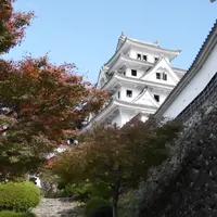 郡上八幡城の写真・動画_image_1036679