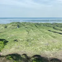 老梅緑石槽の写真・動画_image_1037089