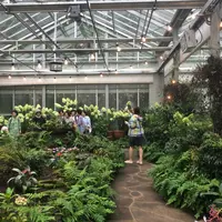 カメルリアヒル/Camellia Hill/카멜리아힐の写真・動画_image_1040182
