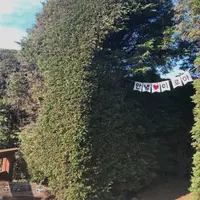 金寧迷路公園/キムニョンミロコンウォン/김녕미로공원の写真・動画_image_1040261
