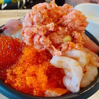 熱海おさかなパラダイスの写真・動画_image_1041242