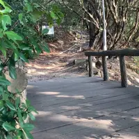 龍神橋の写真・動画_image_1042846