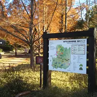 神戸市立森林植物園の写真・動画_image_1043153