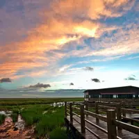 東灘湿地公園（西南門）の写真・動画_image_1050707