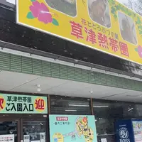 草津熱帯圏の写真・動画_image_1050936