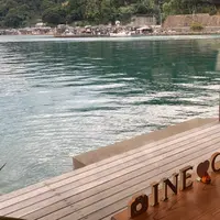 INE CAFE (イネカフェ)の写真・動画_image_1051407