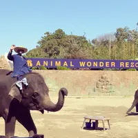 アニマルワンダーリゾウト（市原ぞうの国）の写真・動画_image_1051480