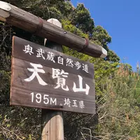 天覧山の写真・動画_image_1051488