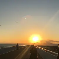 湘南港灯台の写真・動画_image_1052633