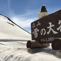 雪の大谷の写真・動画_image_1052809