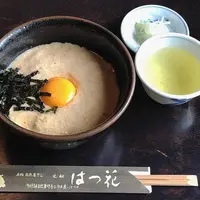 はつ花 本店の写真・動画_image_1053889