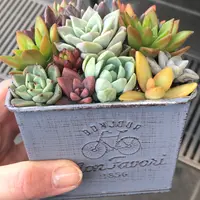 ルコネル（Reconnel）シモキタエキウエ店の写真・動画_image_1056305