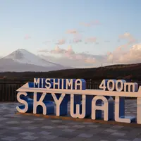 三島スカイウォークの写真・動画_image_1056500