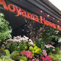 青山フラワーマーケット横浜ジョイナス 1F店の写真・動画_image_1061035