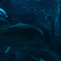 伊勢シーパラダイスの写真・動画_image_1061868