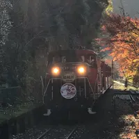 嵯峨野トロッコ列車の写真・動画_image_1062595