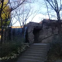 しょうぶ沼公園の写真・動画_image_1066842