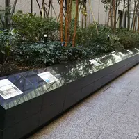 箱根駅伝 スタートラインの写真・動画_image_1068325