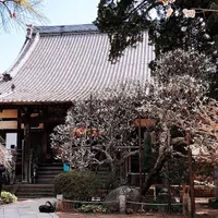 宝戒寺の写真・動画_image_1070747