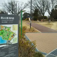原山公園の写真・動画_image_1075719