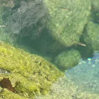 稚児ヶ淵の写真・動画_image_1076264