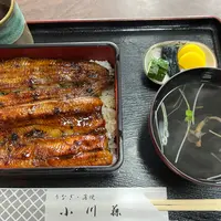 小川藤（おがとう）の写真・動画_image_1077726