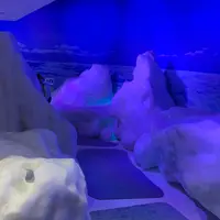 オホーツク流氷館の写真・動画_image_1078623