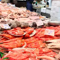 和商市場の写真・動画_image_1078630