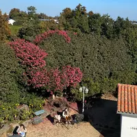 DONG BAK NANGの写真・動画_image_1080601