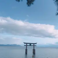 白鬚神社の写真・動画_image_1083277
