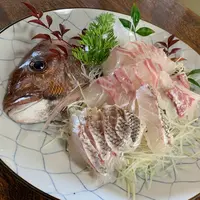 漁火の写真・動画_image_1084346