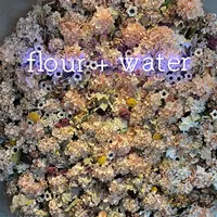 flour＋water(フラワーアンドウォーター)の写真・動画_image_1084833