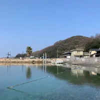 真鍋島の写真・動画_image_1084847