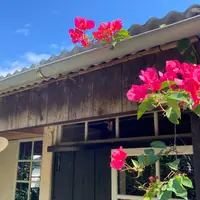 SAKURA HOUSEの写真・動画_image_1085773