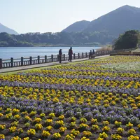 池田湖遊園地の写真・動画_image_1086777