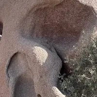 スカル・ロックの写真・動画_image_1090505