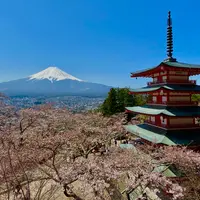 新倉山浅間公園の写真・動画_image_1091426