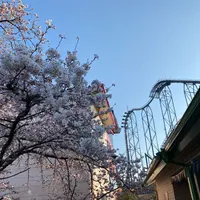 富士急ハイランドの写真・動画_image_1091459