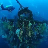 ダイビングサービス熱海の写真・動画_image_109524