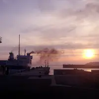 三崎港の写真・動画_image_109611