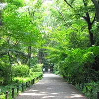 国立科学博物館附属自然教育園の写真・動画_image_109624