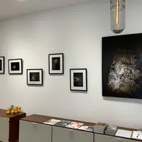 GREAT BOOKS（グレート ブックス）の写真・動画_image_1096403