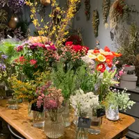 flo.dance（フラダンス）の写真・動画_image_1096429