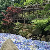 雨引山楽法寺（雨引観音）の写真・動画_image_1103483