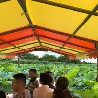 城沼の渡し舟の写真・動画_image_1103484